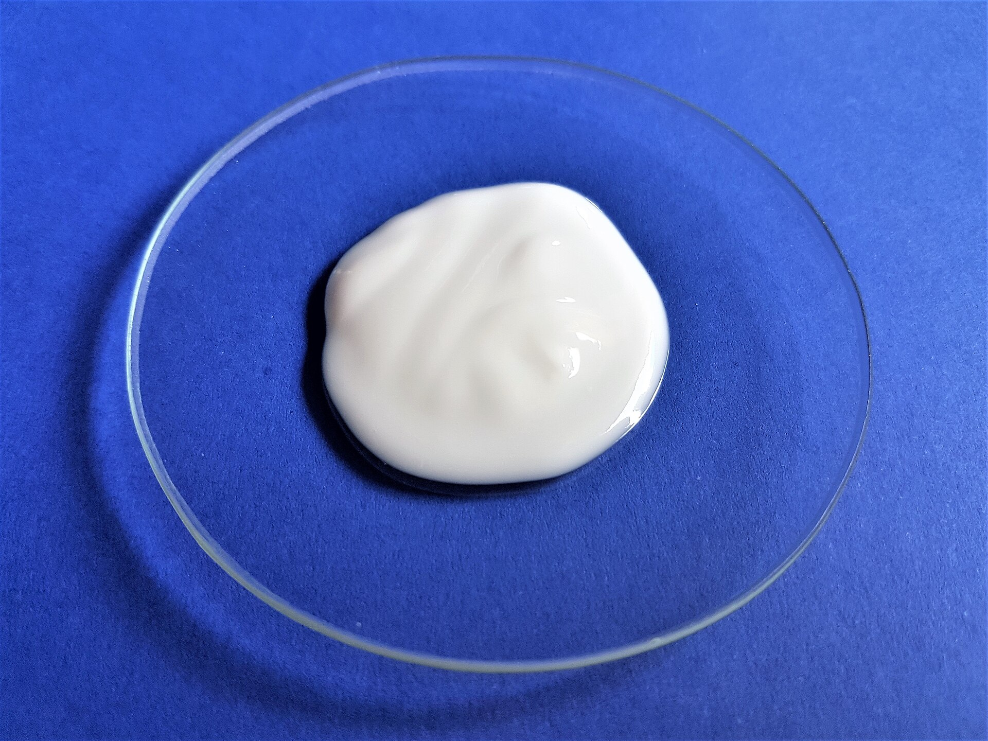 girlook-1 Une noix de crème blanche déposée sur une coupelle de verre posée sur un fond bleu